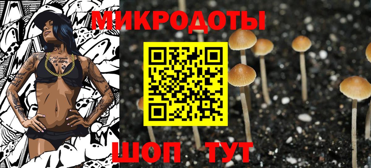 Ревда  Псилоцибиновые грибы MAGIC MUSHROOMS  Вход с VPN 